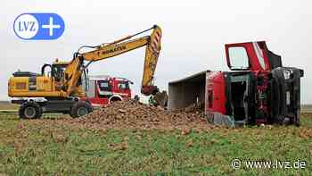 Laster voller Zuckerrüben kippt bei Oschatz in Straßengraben - Leipziger Volkszeitung