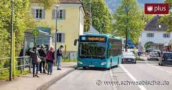 Lindau: Zecher ärgern sich über Stadtbus-Pläne - Schwäbische