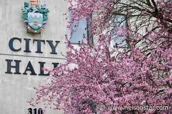 LETTER: Advice for city council candidates - Nelson Star