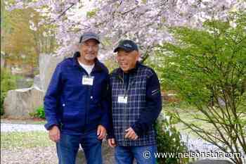 Blosson-viewing at Friendship Garden celebrates the arrival of spring – Nelson Star - Nelson Star