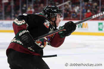 Goldipucks and the Three Skaters: Clayton Keller, Troy Terry & Brock Nelson - dobberhockey.com
