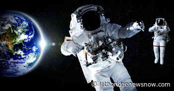 Canada Takes A Bite Out Of Moon Crime - Lethbridge News Now