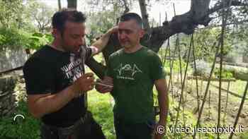 Il contadino di Rapallo e l'avvocato ucraino comunicano con il traduttore dello smartphone - Il Secolo XIX