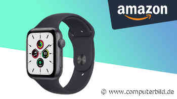 Amazon: Gute Apple Watch SE für keine 300 Euro sichern - COMPUTER BILD