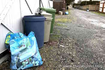 More than half of what Chilliwack residents throw in the trash doesn't belong there: audit – Chilliwack Progress - Chilliwack Progress