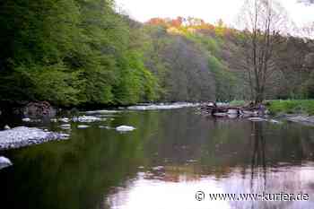 Uni Koblenz bewertet Renaturierungsmaßnahmen des Flusses Nister - WW-Kurier - Internetzeitung für den Westerwaldkreis