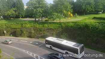 Hoffnung aufs 9-Euro-Ticket: ÖPNV soll im Kreis Mayen-Koblenz einen Schub bekommen - Rhein-Zeitung