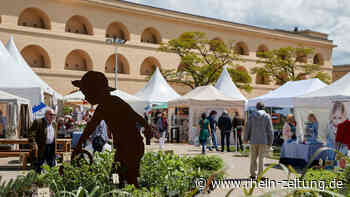 Landpartie in Koblenz: Besonderes Flair auf der Festung - Rhein-Zeitung