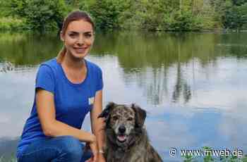 Hundetrainerin Sophie Schäfer aus Tauberbischofsheim bei „Der Hundeprofi” zu sehen - Tauberbischofsheim - Nachrichten und Informationen - Fränkische Nachrichten