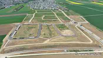 Immobilien: Experte von der Bank verrät: So viel kostet es, in Ehingen ein Haus zu bauen - SWP