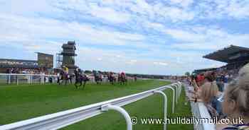 Owner ordered to change 'inappropriate' race horse name before Beverley debut - Hull Live