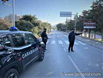 VICO DEL GARGANO – Operazione “Tulipano nero”: i carabinieri arrestano tre spacciatori - Garganotv