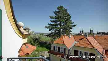 Luxus zur Miete: Das ist die Villa Schröppel in Bamberg - Nordbayern.de