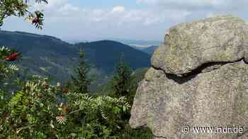 Weibliche Führungskräfte in der Wirtschaft - wo es nicht klappt in der Region - NDR.de