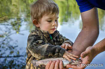 Gone fishing! Spring Family Fishing Events in Coquitlam May 29 & June 19 - Foodology