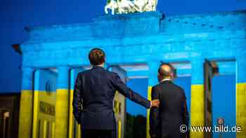 Macron will neue Europäische Gemeinschaft - mit Ukraine - Politik Ausland - Bild.de - BILD