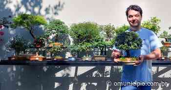 VÍDEO – Veterinário de Brusque apresenta sua paixão pelo cultivo de bonsais - O Município