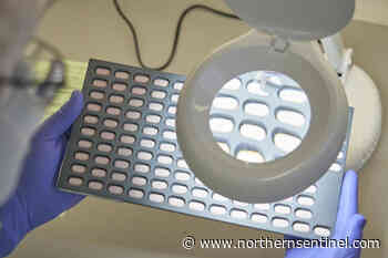 Rare cases of COVID returning pose questions for Pfizer pill - Kitimat Northern Sentinel