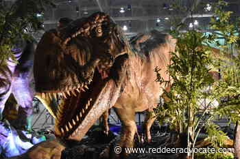 Massive, life-like dinosaur exhibit set to visit Red Deer this summer - Red Deer Advocate