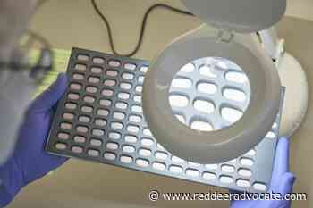 Rare cases of COVID returning pose questions for Pfizer pill - Red Deer Advocate