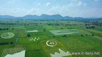 High-Tech im Stall, KI auf dem Acker - Onlineportal von IT Management - it-daily.net