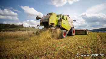 Erzeugerpreise für Agrarprodukte steigen im Rekordtempo