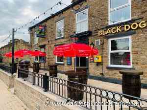 THE BLACK DOG: This pub welcomes customers from all walks of life...even dogs