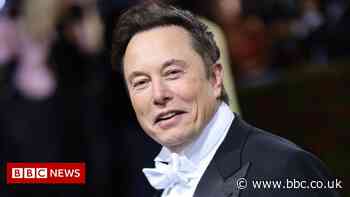 Elon Musk would reverse Donald Trump's Twitter ban