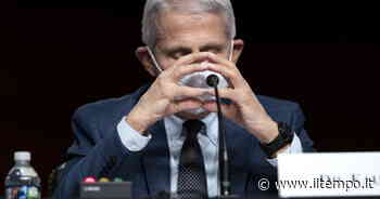 Covid, "altre cento milioni di infezioni". La previsione choc che spaventa il governo Usa - Il Tempo