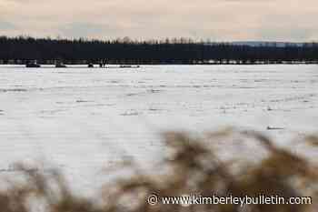 Pilot’s decision making, deteriorating weather led to Alberta helicopter crash: TSB - Kimberley Bulletin