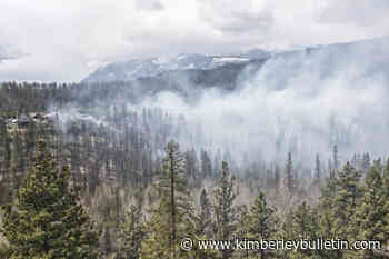 Forest Crowne prescribed burn accomplishes objectives smoothly – Kimberley Daily Bulletin - Kimberley Bulletin