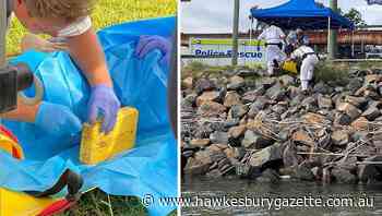 Mystery dead diver found near port cocaine - Hawkesbury Gazette