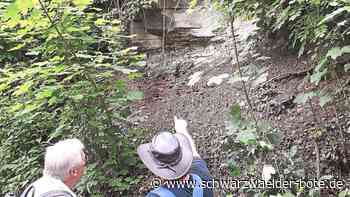 Geo-Tour in Nagold - Zwischen Meer und Wüste - Schwarzwälder Bote