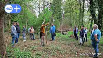 Springe: Waldkindergarten in Völksen soll im Frühjahr 2023 eröffnen - HAZ