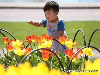 Weather: Sunny and 31 C Thursday, downright sticky Friday