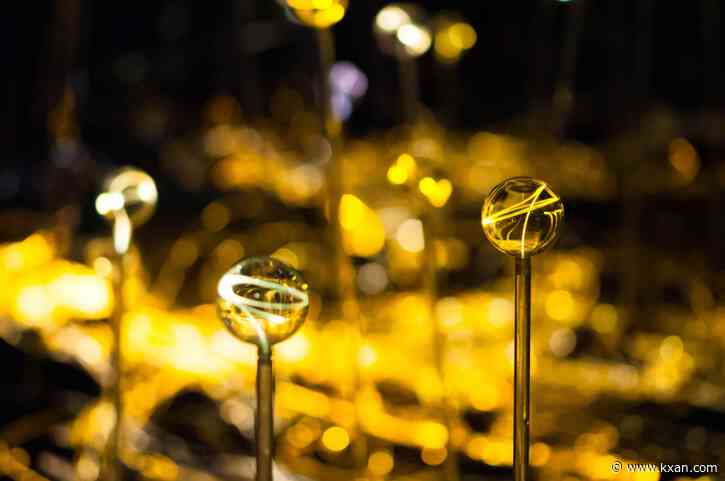 'Field of Light' installation coming to Lady Bird Wildflower Center