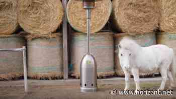 Awarness-Kampagne: So bunt betritt What3words gemeinsam mit Jung von Matt/Spree den deutschen Markt