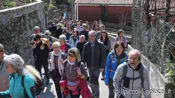 Cabinovia di Trieste, dopo la bocciatura del referendum il fronte del No continua la battaglia: ecco perché - Il Piccolo