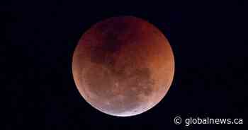How to watch the super flower blood moon lunar eclipse over Ontario