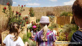 Cosa fare con i bambini a Roma sabato 14 e domenica 15 maggio