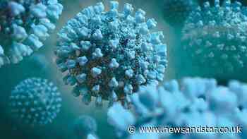 One more coronavirus death recorded in Carlisle | News and Star - News & Star
