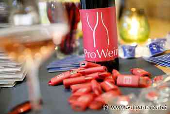 ProWein, aziende agricole e cantine di Ravarino, Medolla, Sorbara, Carpi e Bomporto alla fiera in programma dal 15 al 17 maggio - SulPanaro