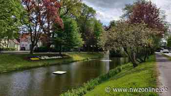 Stadtplanung in Jever: Wallanlagen werden grunderneuert - Nordwest-Zeitung