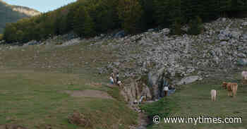 ‘Il Buco’ Review: Notes From Underground