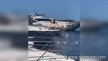 Man Arrested in Balloon Littering Investigation at Coconut Grove Marina