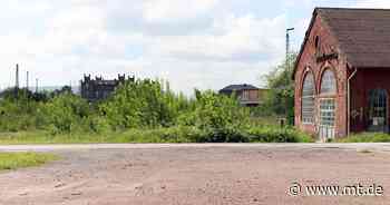 Tagesordnung ohne Multihalle: Bürgerbündnis will das Projekt begraben - Mindener Tageblatt