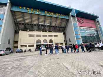 Palermo, dopo 50 anni ritorna il festival sul prato del “Barbera” - Livesicilia.it