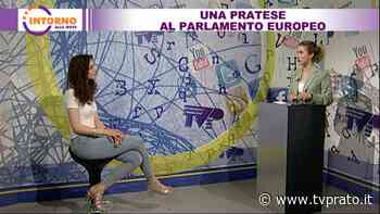 Una pratese al Parlamento Europeo - tvprato.it