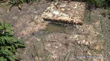 VIDEO E FOTO / VILLA MOSCA, UN PRATO DI LIQUAMI E LE FAMIGLIE COSTRETTE A VIVERE CON LE FINESTRE CHIUSE. ESPOSTO ALLA FORESTALE - R+News