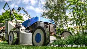 Prato in primavera, quali sono le cure adatte per renderlo folto e verdeggiante - Orizzontenergia